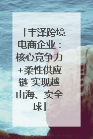 丰泽跨境电商企业：核心竞争力+柔性供应链 实现越山海、卖全球