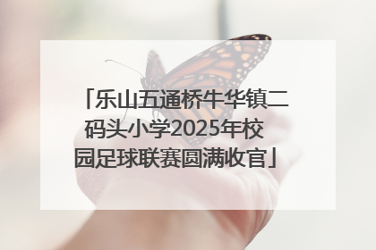 乐山五通桥牛华镇二码头小学2025年校园足球联赛圆满收官
