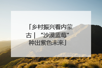 乡村振兴看内蒙古｜“沙漠蓝莓”种出紫色未来