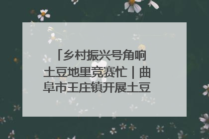 乡村振兴号角响 土豆地里竞赛忙｜曲阜市王庄镇开展土豆收获劳动竞赛