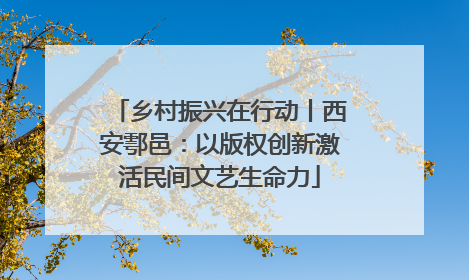 乡村振兴在行动丨西安鄠邑：以版权创新激活民间文艺生命力