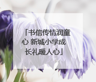 书信传情润童心 新城小学成长礼暖人心