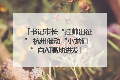 书记市长“挂帅出征” 杭州催动“小龙们”向AI高地进发