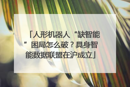 人形机器人“缺智能”困局怎么破？具身智能数据联盟在沪成立