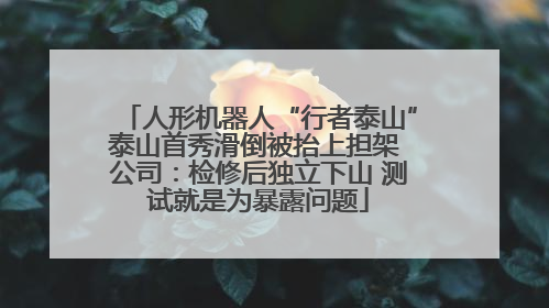 人形机器人“行者泰山”泰山首秀滑倒被抬上担架 公司：检修后独立下山 测试就是为暴露问题