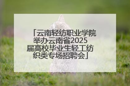 云南轻纺职业学院举办云南省2025届高校毕业生轻工纺织类专场招聘会