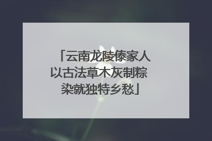 云南龙陵傣家人以古法草木灰制粽 染就独特乡愁