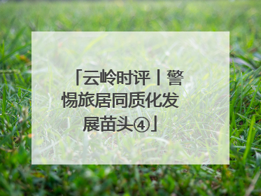 云岭时评丨警惕旅居同质化发展苗头④