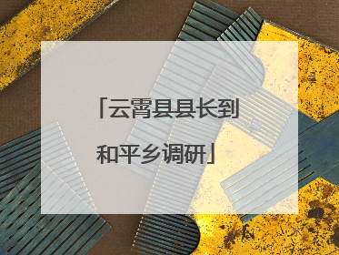 云霄县县长到和平乡调研