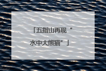 五指山再现“水中大熊猫”
