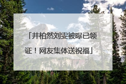 井柏然刘雯被曝已领证！网友集体送祝福