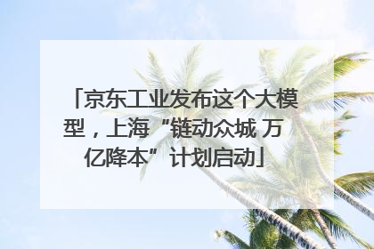 京东工业发布这个大模型，上海“链动众城 万亿降本”计划启动