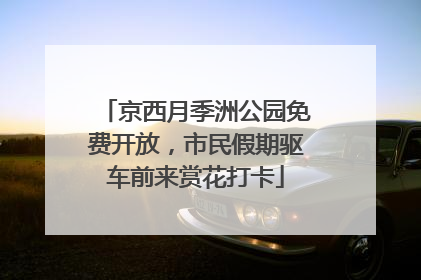 京西月季洲公园免费开放，市民假期驱车前来赏花打卡