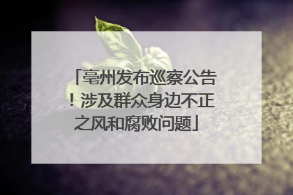 亳州发布巡察公告！涉及群众身边不正之风和腐败问题