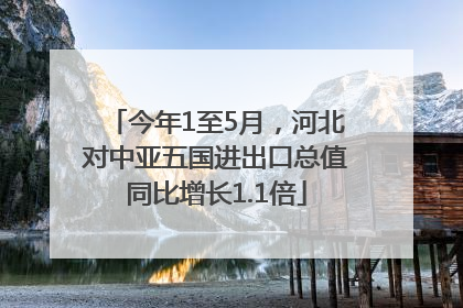 今年1至5月，河北对中亚五国进出口总值同比增长1.1倍