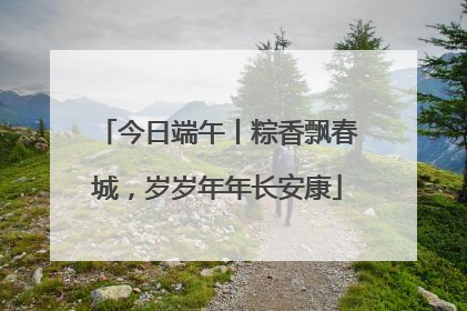 今日端午丨粽香飘春城，岁岁年年长安康