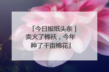 今日报纸头条｜卖火了棉袄，今年种了千亩棉花