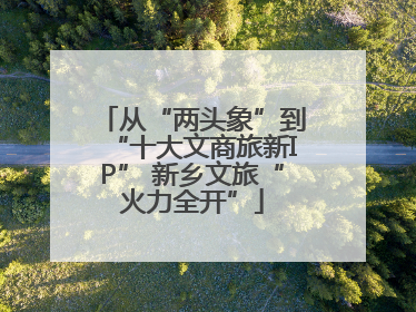 从“两头象”到“十大文商旅新IP” 新乡文旅“火力全开”