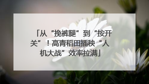 从“挽裤腿”到“按开关”！高青稻田插秧“人机大战”效率拉满
