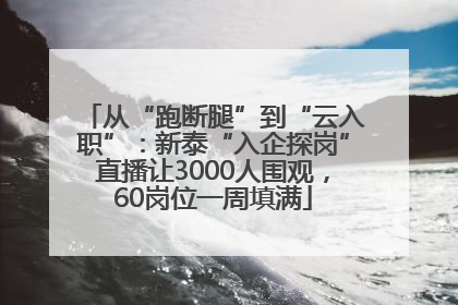 从“跑断腿”到“云入职”：新泰“入企探岗”直播让3000人围观，60岗位一周填满