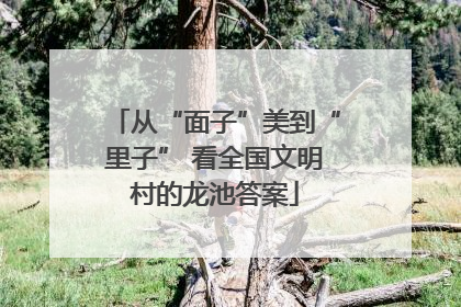 从“面子”美到“里子” 看全国文明村的龙池答案