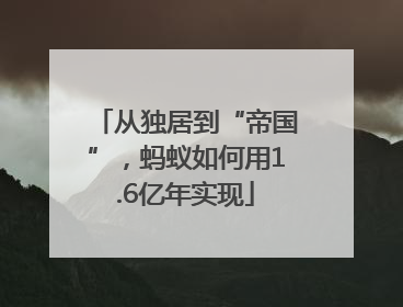从独居到“帝国”，蚂蚁如何用1.6亿年实现