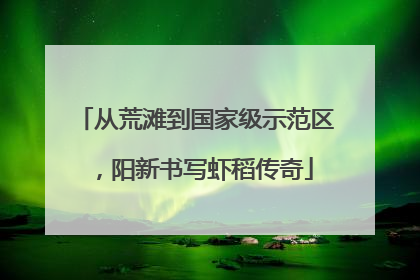 从荒滩到国家级示范区，阳新书写虾稻传奇