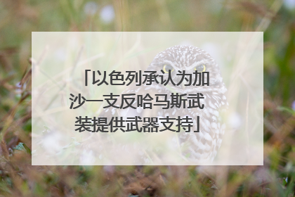以色列承认为加沙一支反哈马斯武装提供武器支持