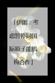 伊朗：考虑暂停同国际原子能机构合作