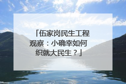 伍家岗民生工程观察：小确幸如何织就大民生？