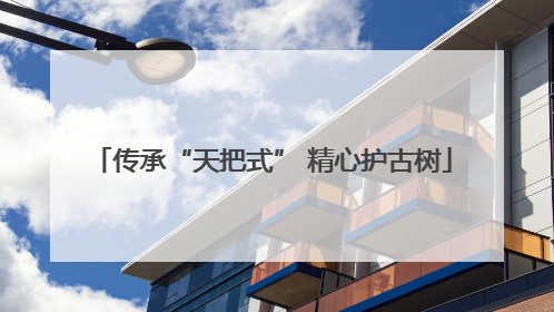传承“天把式” 精心护古树