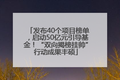 发布40个项目榜单，启动50亿元引导基金！“双向揭榜挂帅”行动成果丰硕