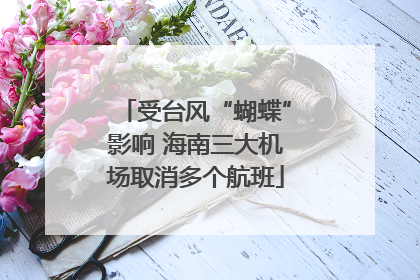 受台风“蝴蝶”影响 海南三大机场取消多个航班