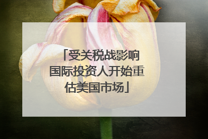 受关税战影响 国际投资人开始重估美国市场