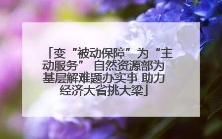 变“被动保障”为“主动服务” 自然资源部为基层解难题办实事 助力经济大省挑大梁