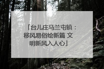 台儿庄马兰屯镇：移风易俗绘新篇 文明新风入人心