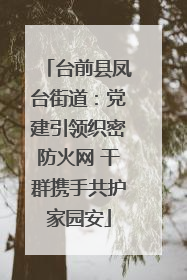 台前县凤台街道：党建引领织密防火网 干群携手共护家园安