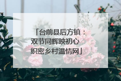 台前县后方镇：双节同辉映初心 织密乡村温情网