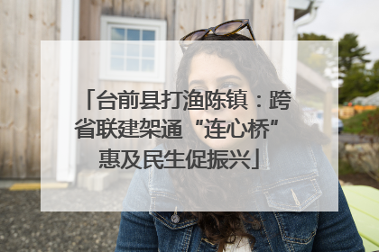 台前县打渔陈镇：跨省联建架通“连心桥” 惠及民生促振兴
