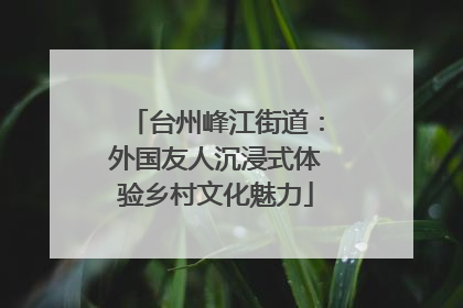 台州峰江街道：外国友人沉浸式体验乡村文化魅力