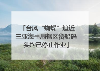 台风“蝴蝶”迫近 三亚海事局辖区货船码头均已停止作业