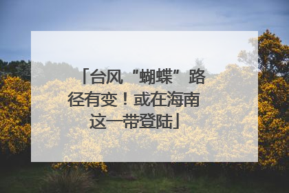 台风“蝴蝶”路径有变！或在海南这一带登陆
