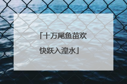 十万尾鱼苗欢快跃入湟水