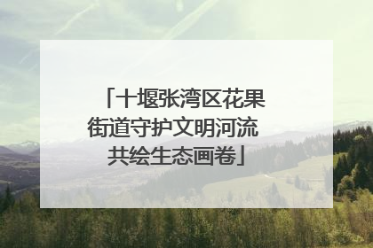 十堰张湾区花果街道守护文明河流 共绘生态画卷