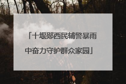 十堰郧西民辅警暴雨中奋力守护群众家园