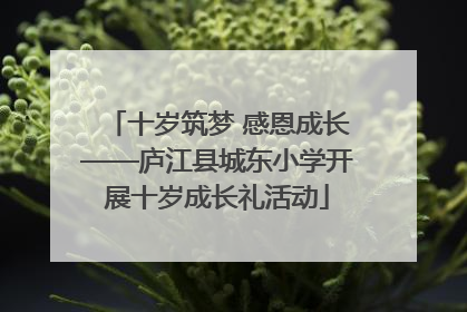 十岁筑梦 感恩成长——庐江县城东小学开展十岁成长礼活动