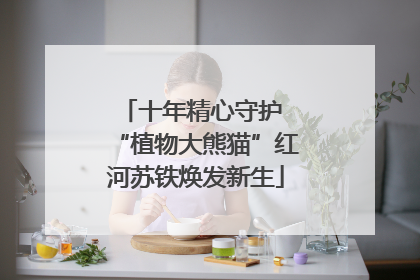 十年精心守护 “植物大熊猫”红河苏铁焕发新生