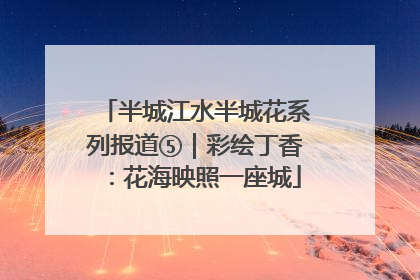 半城江水半城花系列报道⑤｜彩绘丁香：花海映照一座城