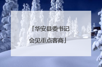 华安县委书记会见重点客商