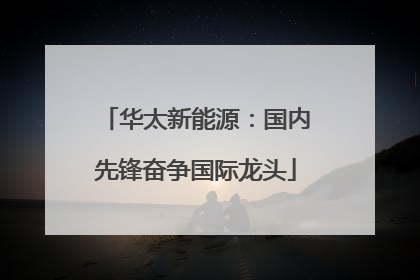 华太新能源：国内先锋奋争国际龙头